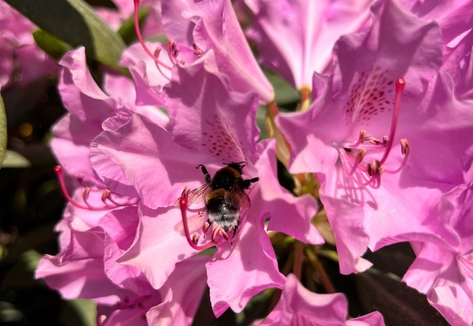 23-06-03 16-51-27 5804